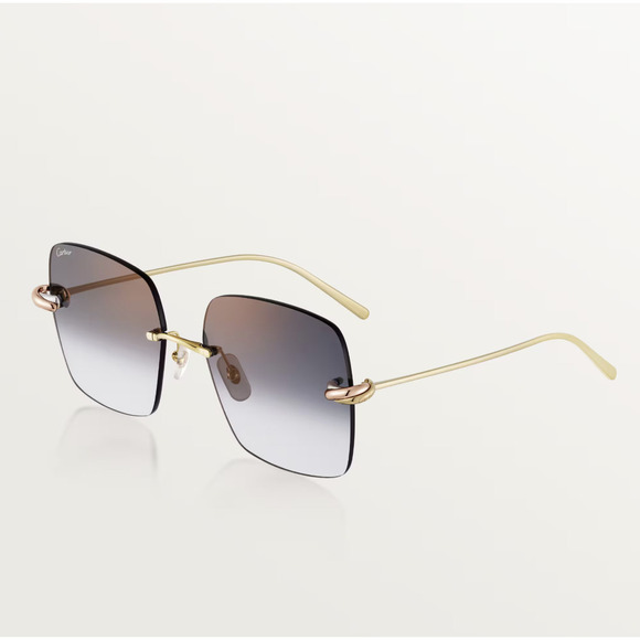 NWT CARTIER CT0508S 001 Sunglasses main image 6